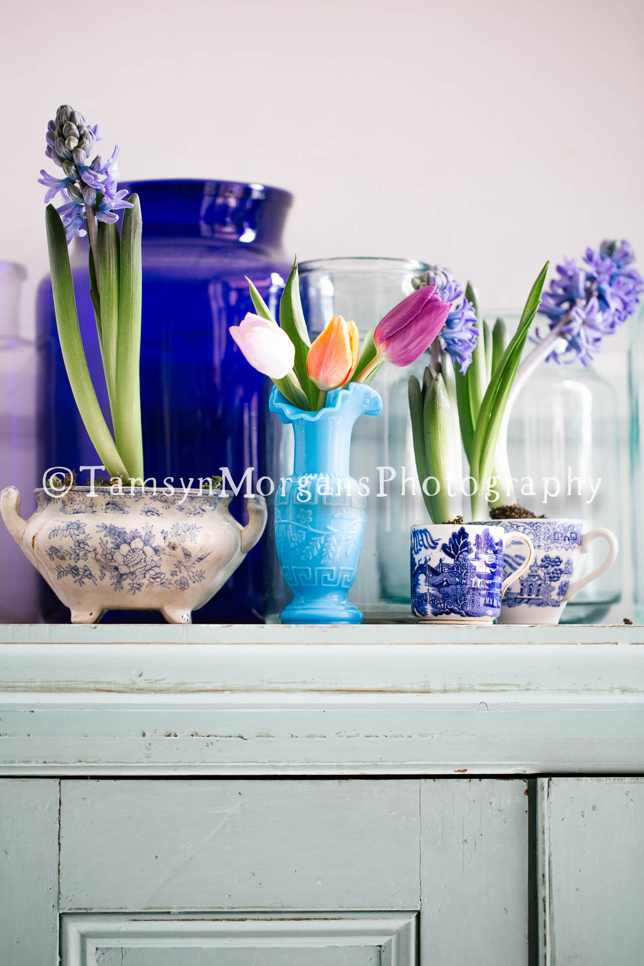 Tamsyn Morgans | Tulips in Vase